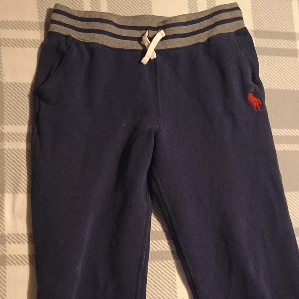 Polo by Ralph Lauren Navy Joggers with Gray Accents